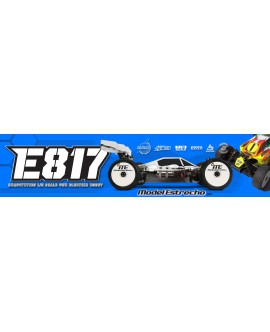 HOT BODIES E817 1/8 BUGGY ELECTRICO HOT BODIES E817 1/8 BUGGY ELECTRICO