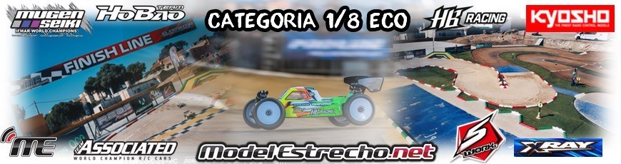 COCHE ELECTRICO